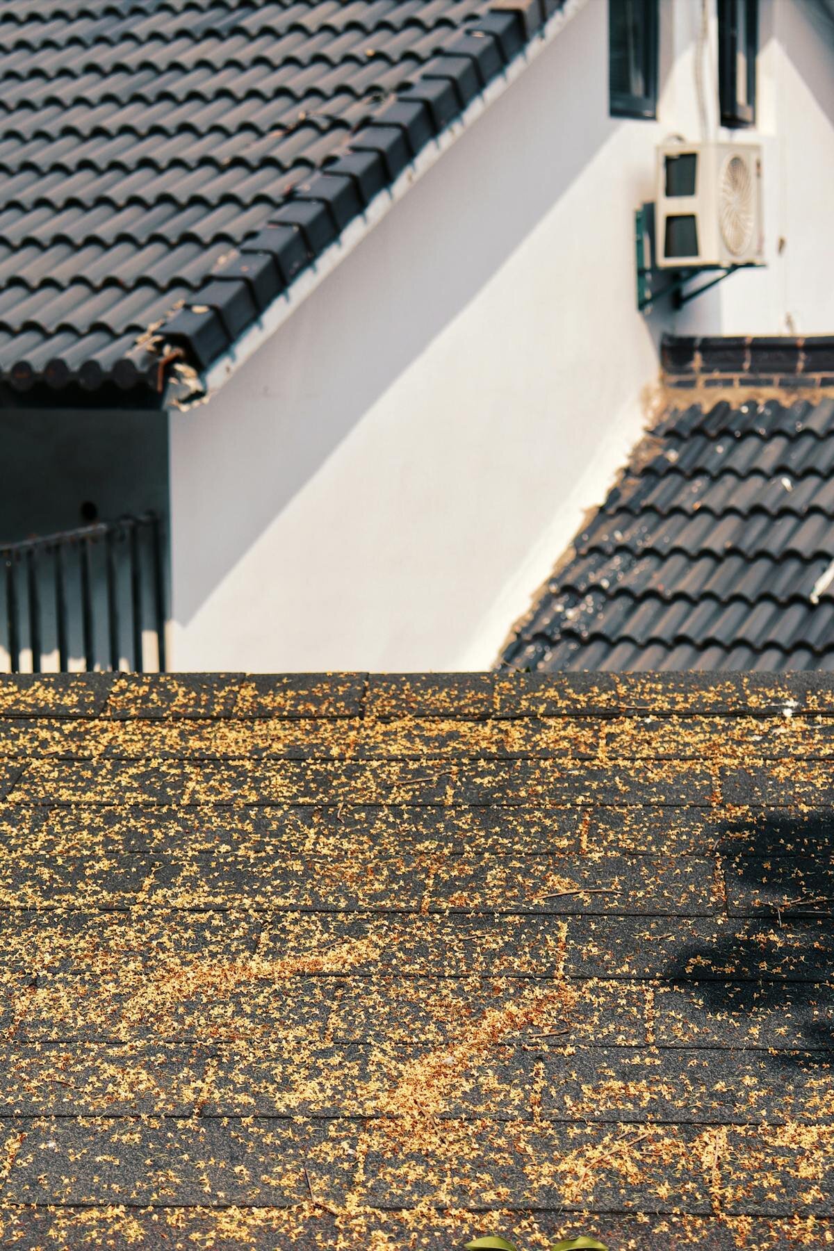 Contractor performing safe roof cleaning with soft wash equipment and fall protection