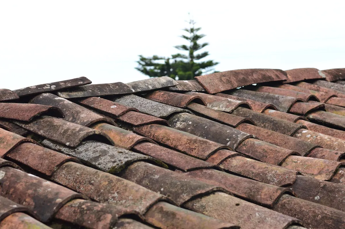 Person safely cleaning metal roof with proper equipment