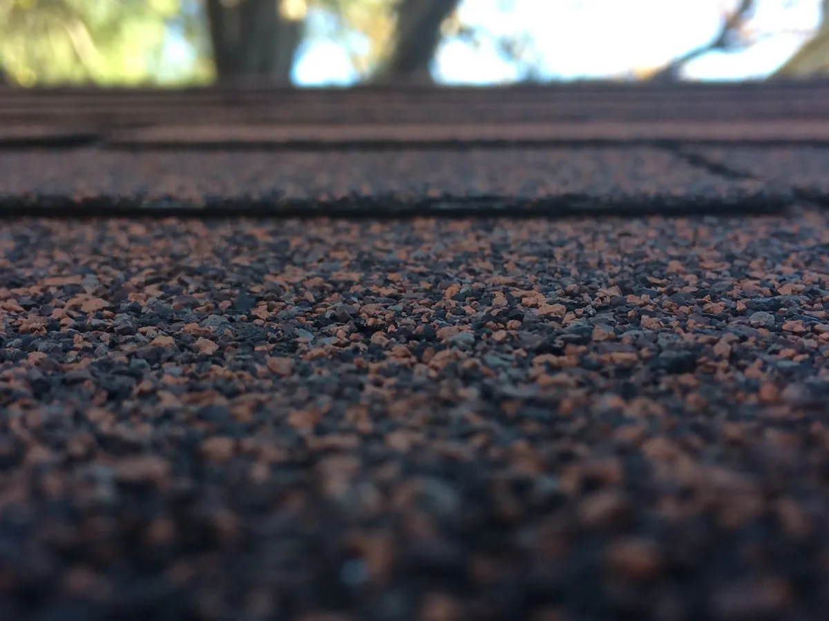 Professional roof cleaning with soft wash technique treating black streaks