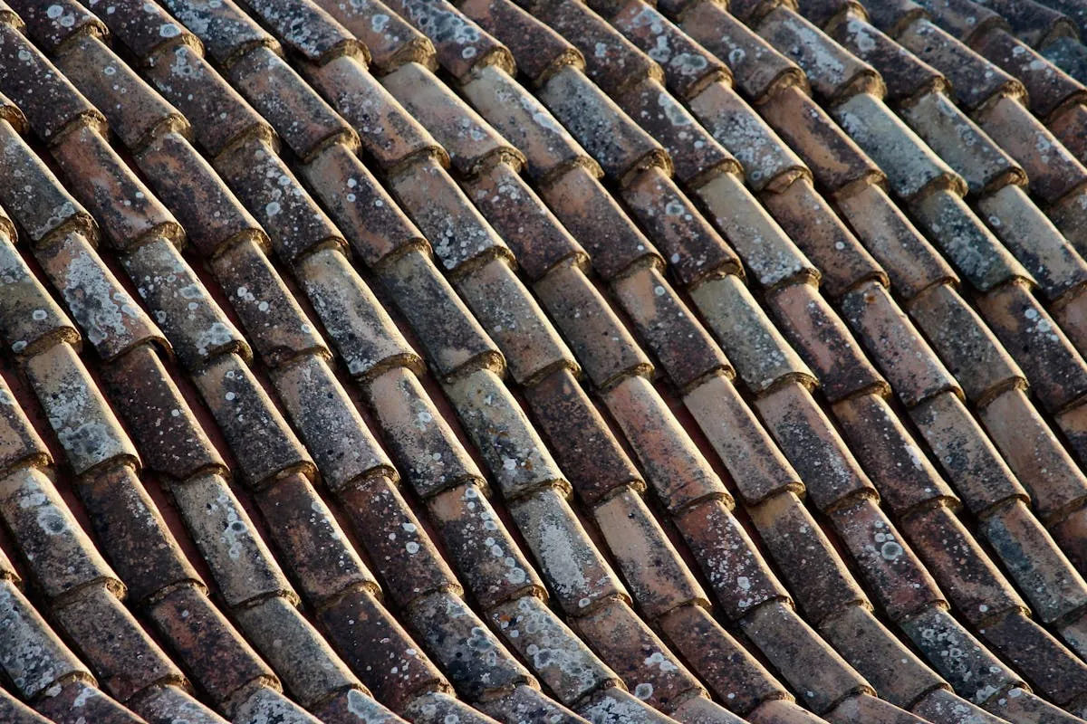 Professional tile roof cleaning using soft wash technique from ground level or ladder