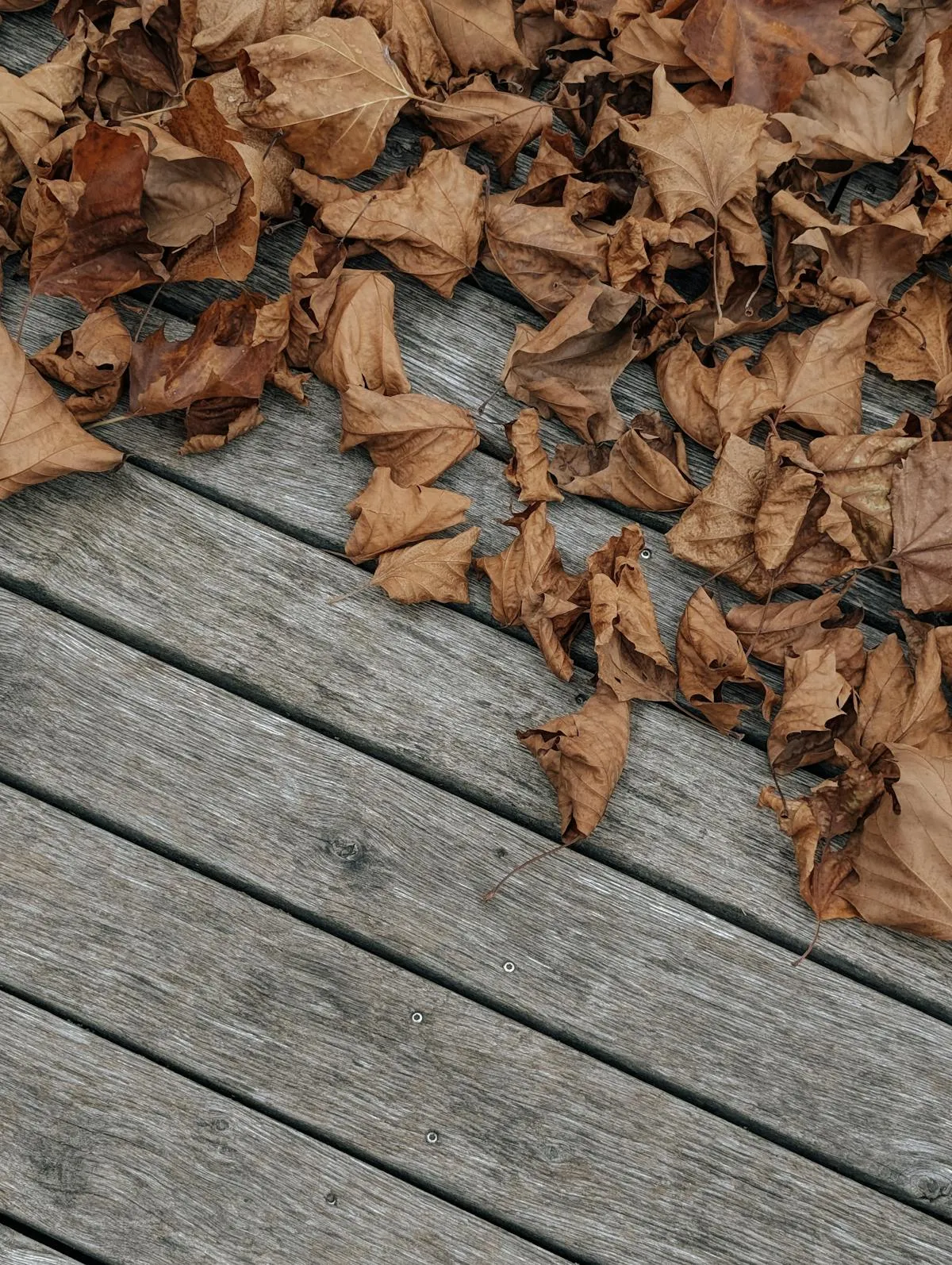 Clean pressure-treated lumber deck after proper maintenance